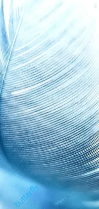 Looking for a serene phone wallpaper that exudes elegance? This stunning live wallpaper features a beautiful close-up view of a white feather set against a light blue backdrop