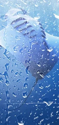 This phone live wallpaper features a stunning photorealistic painting of a manta ray swimming in the ocean on a rainy day