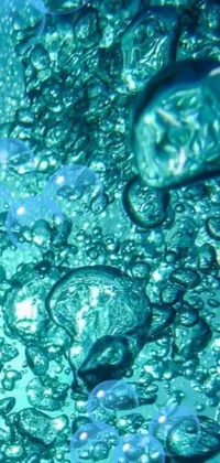 This live wallpaper for your phone features bubbles floating in water, captured in a vivid microscopic photo