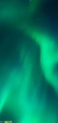 This phone live wallpaper depicts a group enjoying a snowy slope underneath the Northern Lights