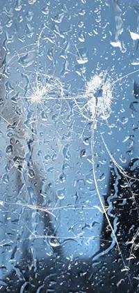 This live wallpaper for your phone showcases a close-up of a rain-soaked window, with a latticework of spiderwebs stretched across the glassy fractal surface