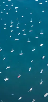 Enhance your phone's display with this live wallpaper featuring a group of boats floating calmly on a body of water