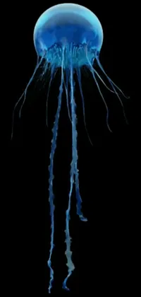 This phone live wallpaper showcases a serene and elegant scene as a blue jellyfish drifts through the midnight waters