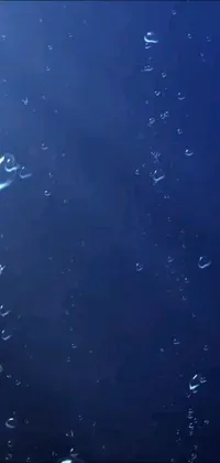 This live wallpaper features a surreal scene of colorful bubbles floating through the air against a backdrop of the Mariana Trench, with raindrops on a window in the foreground adding a cozy touch