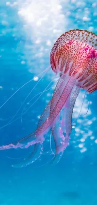 Looking for a stunning live wallpaper for your phone? Check out this mesmerizing image of a pink jellyfish floating in tropical waters