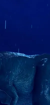 This phone live wallpaper features a serene image of an elephant standing in water under the starry night sky