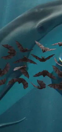 This phone live wallpaper features a group of graceful bats flying in the night sky