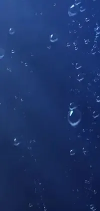 Water Electric Blue Underwater Live Wallpaper