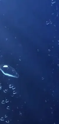 Water Electric Blue Underwater Live Wallpaper
