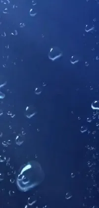 This stunning live wallpaper for phones features a serene underwater scene with a beautiful blue background and a group of small bubbles constantly moving upwards in real time