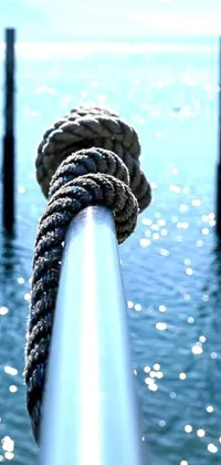 The phone live wallpaper depicts a close-up of a rope on a pole near the water