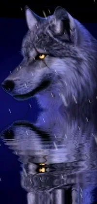 The wolf live wallpaper showcases a majestic wolf standing on a calm body of water with fractals in the backdrop