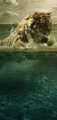 Water Felidae Carnivore Live Wallpaper