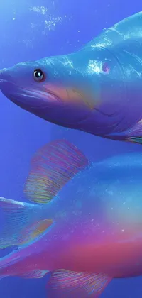 This fish live wallpaper features two swimming fish, rendered in rich, iridescent digital art