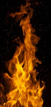 Water Fire Flame Live Wallpaper