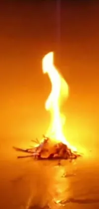 This live wallpaper showcases a stunning close-up view of a beach fire
