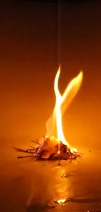 Water Fire Flame Live Wallpaper