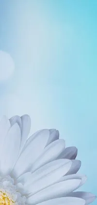 This close up, blue and white flower live wallpaper is the perfect addition to any smartphone