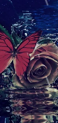 This live wallpaper showcases a red butterfly perched on a beautiful rose, as seen in an aesthetic similar to Tumblr's pictures