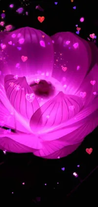 This phone live wallpaper features a stunning pink flower that glows in the dark, surrounded by green leaves and a stem