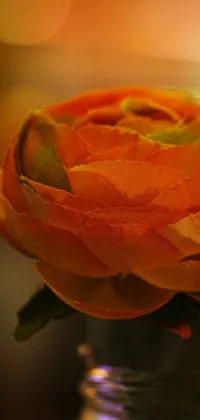 Water Flower Orange Live Wallpaper