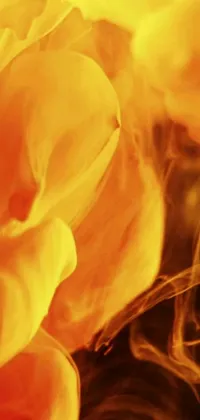 Enhance your phone's aesthetics with this blazing hot live wallpaper! You'll be mesmerized by the intricate digital art created by a talented artist, which captures the beauty of a burning campfire up close