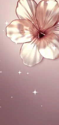 Water Flower Petal Live Wallpaper