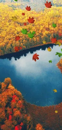 This live wallpaper for phones boasts an exquisite aerial view of a heartwarming fall scene
