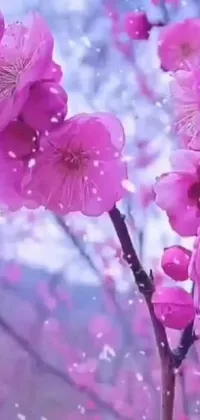 This pink flower live wallpaper features stunning blossoms atop a tree amidst a gently falling snow effect