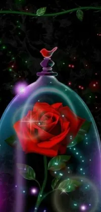 This phone live wallpaper is a beautiful digital art featuring a glass bell with a crimson rose inside