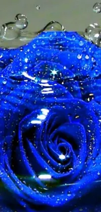 This phone wallpaper features a close-up view of a digital blue rose with water droplets