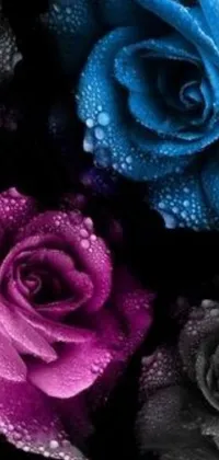 This live phone wallpaper exhibits a digital rendition of a colorful bouquet of roses, featuring vibrant hues of blue, black, and purple
