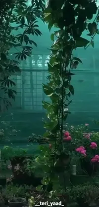 This phone live wallpaper features a stunning greenhouse filled with numerous plants and flowers