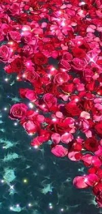 This phone live wallpaper showcases a pool full of stunning red roses floating in crystal clear neon water with clematis scattered around