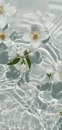 Enliven your phone screen with a captivating live wallpaper showcasing a stunning depiction of white flowers floating on water