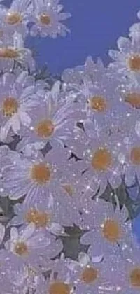 This live wallpaper showcases a beautiful bunch of white flowers against a vivid blue sky in a pointillism style