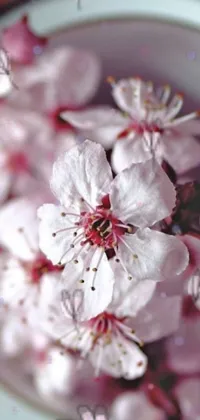 This phone live wallpaper showcases a beautiful bowl of pink flowers resting atop a table
