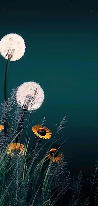 This phone live wallpaper features a field of beautiful flowers on top of a lush green landscape, displaying fantastic realism in an airy midnight theme