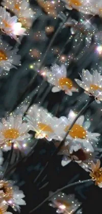 This digital art phone live wallpaper showcases a stunning and intricate design of delicate white flowers set against a rain-inspired aesthetic