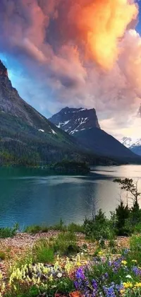 Experience the tranquility of nature with this stunning live wallpaper