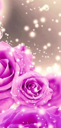 This stunning live wallpaper features a bunch of purple roses arranged on a table