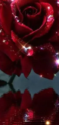 This live wallpaper features a red rose reflected in water, evoking a romantic and mysterious vibe
