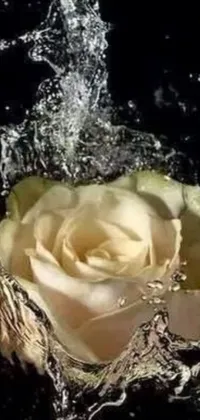 This phone live wallpaper features a beautiful white rose being splashed with water, creating a stunning and refreshing effect