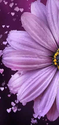 This romantic phone live wallpaper features a purple flower with hearts in the background