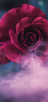 This phone live wallpaper features a stunning digital art piece of a red rose on a table with pink smoke in the background and a misty atmosphere