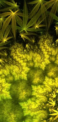 This mobile wallpaper features a close-up image of bright green plants against a 3D fractal background with a yellow and green color scheme