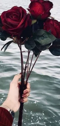 This phone live wallpaper features a beautiful image of a person holding a bunch of red roses over a serene body of water