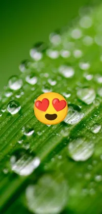 This phone live wallpaper showcases a close-up view of a leaf with a smiley face, captured by a trendy photographer