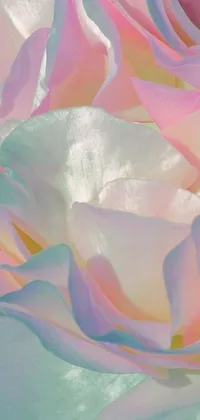 This phone live wallpaper features a stunning close-up of a pink and white rose set against a diaphanous iridescent cloth background