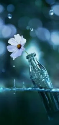 This picturesque phone live wallpaper showcases a glass bottle with a delicate flower adorning it, submerged in crystal clear water